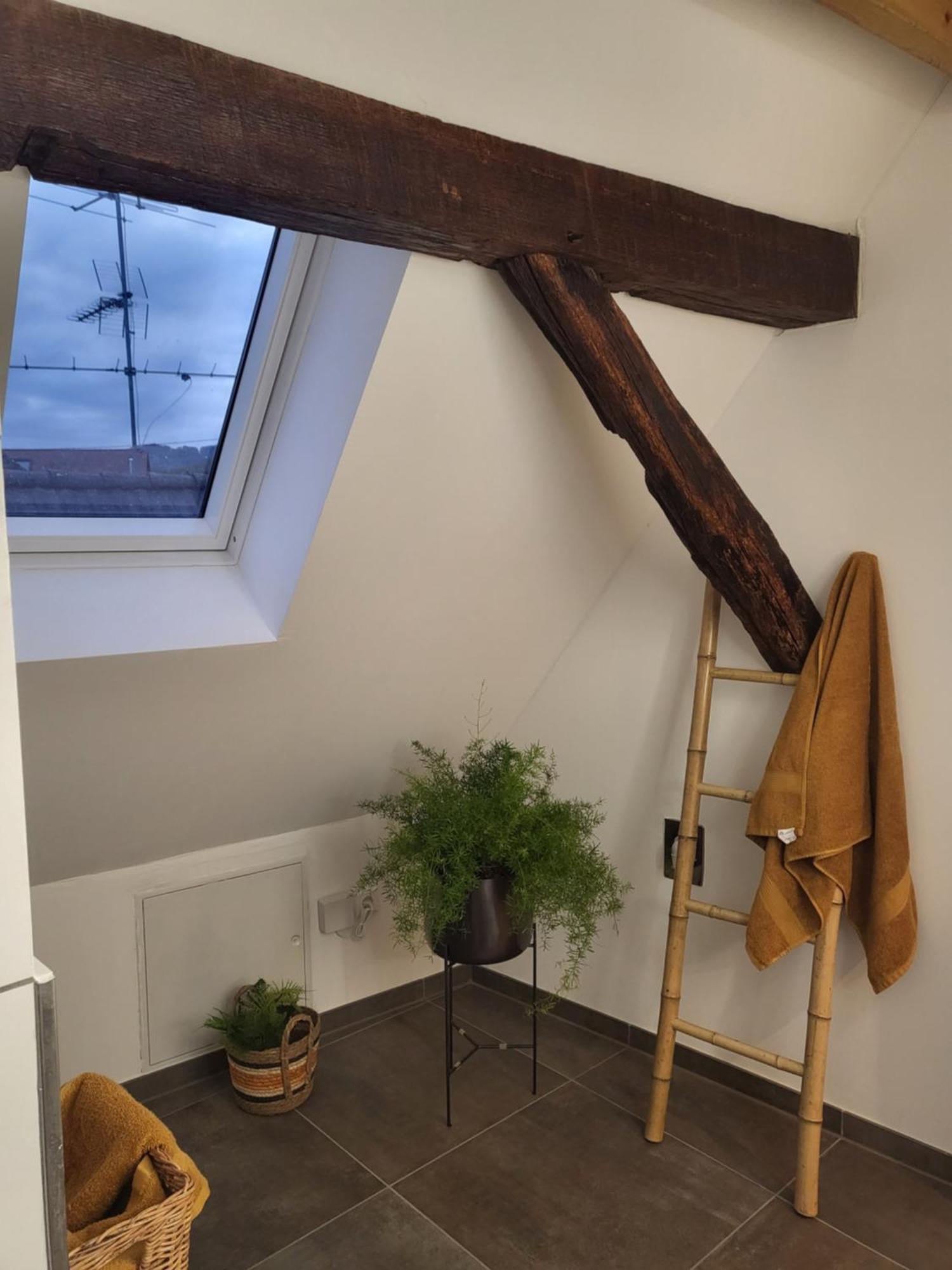 Ferienwohnung Im Rebstock Nr.1 Bahlingen  Zewnętrze zdjęcie